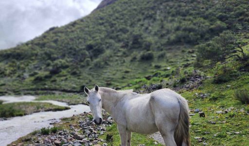 SALKANTAY LUXURY-14